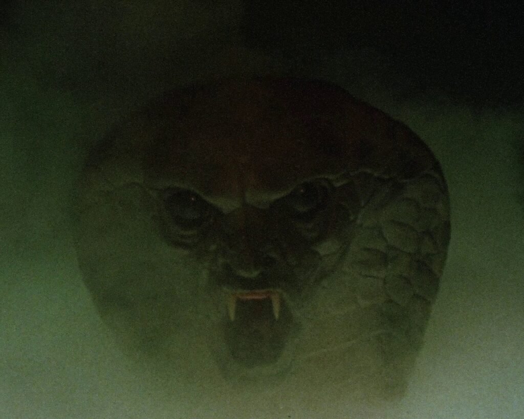 Dreamscape (1984): ¿precursora o plagio de Pesadilla en Elm Street? Dreamscape (1984)