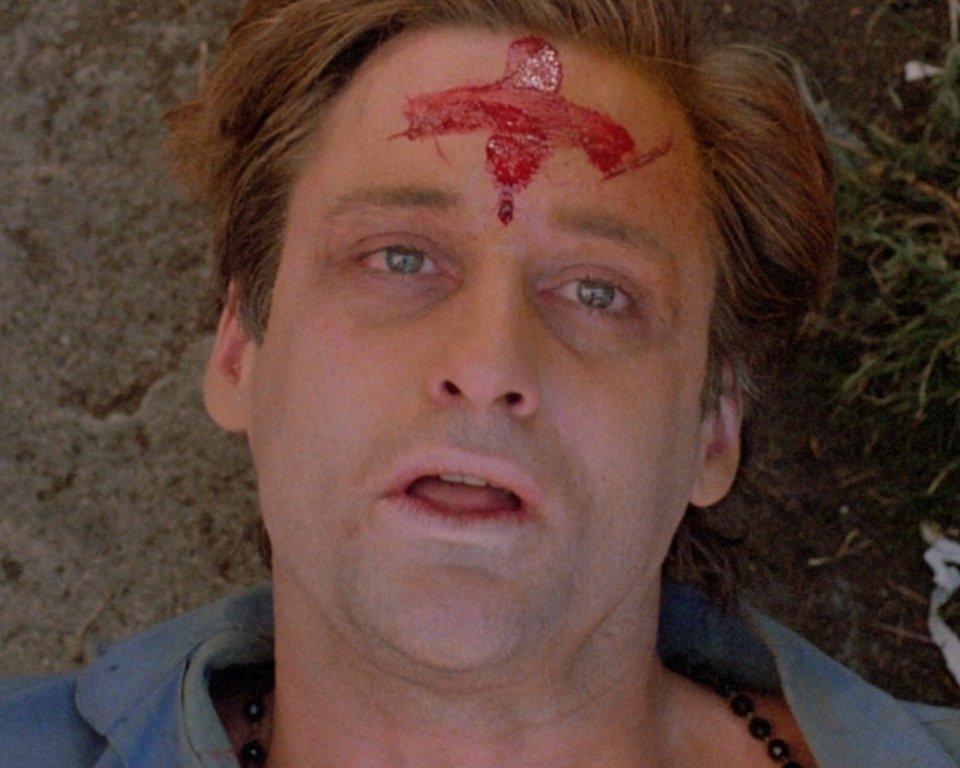 10 películas de terror de los 80 poco conocidas La serpiente y el arcoiris